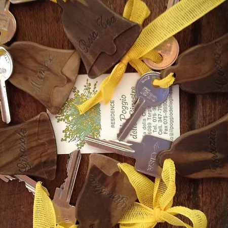 Il Poggio Delle Ginestre Landhuis Torgiano