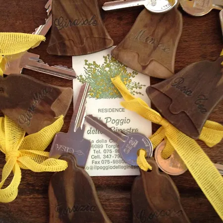 Landhuis Il Poggio Delle Ginestre