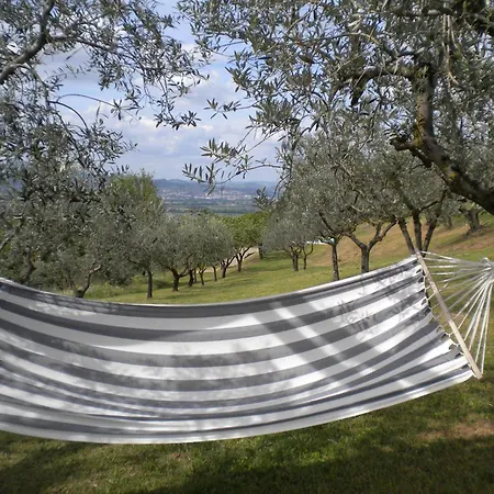 Il Poggio Delle Ginestre