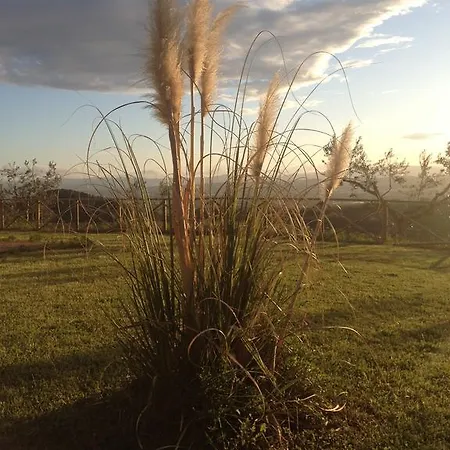 Casa de Campo Il Poggio Delle Ginestre *