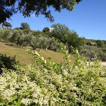Country house Il Poggio Delle Ginestre *
