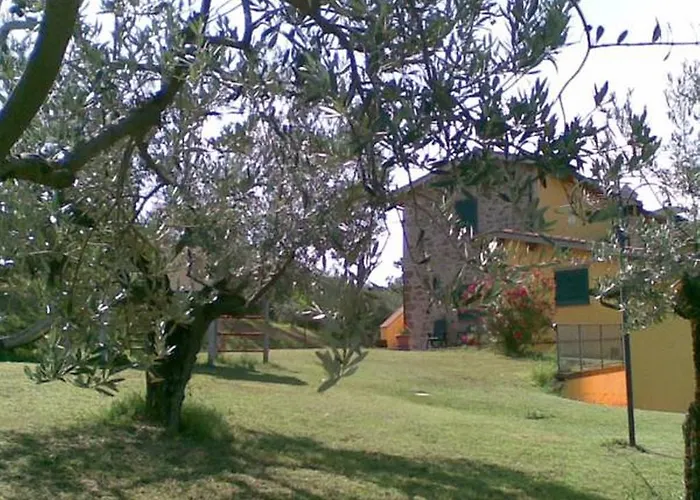 Εξοχικό σπίτι Il Poggio Delle Ginestre Torgiano